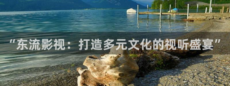 神马影院的网址：“东流影视：打造多元文化的视听盛宴”