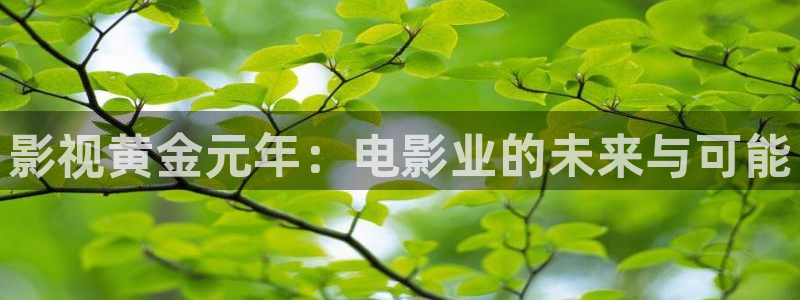 神马影视我不卡在线：影视黄金元年：电影业的未来与可能