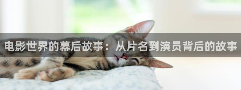 无敌手机神马影院手机版观看：电影世界的幕后故事：从片名到演员背后的故事