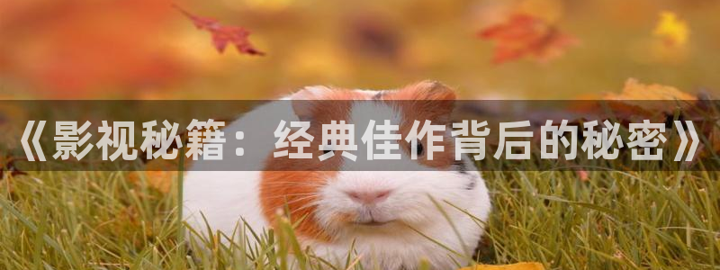 天堂网神马影院：《影视秘籍：经典佳作背后的秘密》