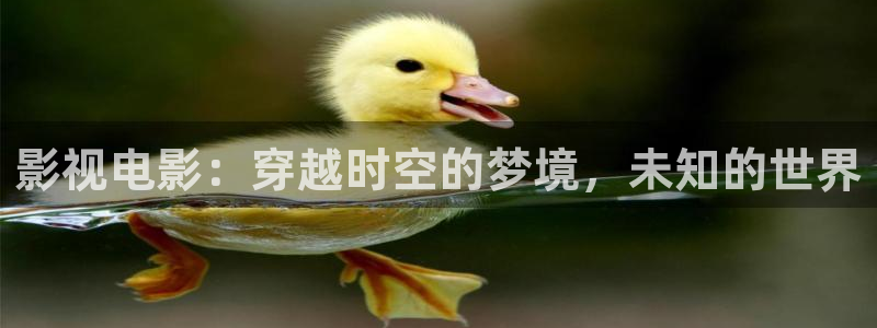 神马伦理不卡电影：影视电影：穿越时空的梦境，未知的世界