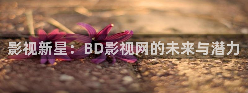 神马影院达达兔第九：影视新星：BD影视网的未来与潜力