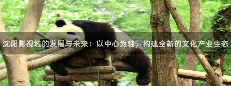 神马影院地址：沈阳影视城的发展与未来：以中心为轴，构建全新的文化产业生态