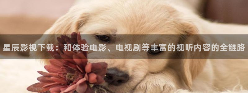 女子监狱神马影院：星辰影视下载：和体验电影、电视剧等丰富的视听内容的全链路