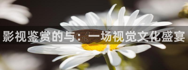 神马影院pd720：影视鉴赏的与：一场视觉文化盛宴