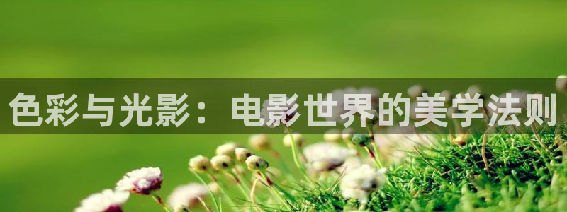 神马午夜电影在线观看：色彩与光影：电影世界的美学法则